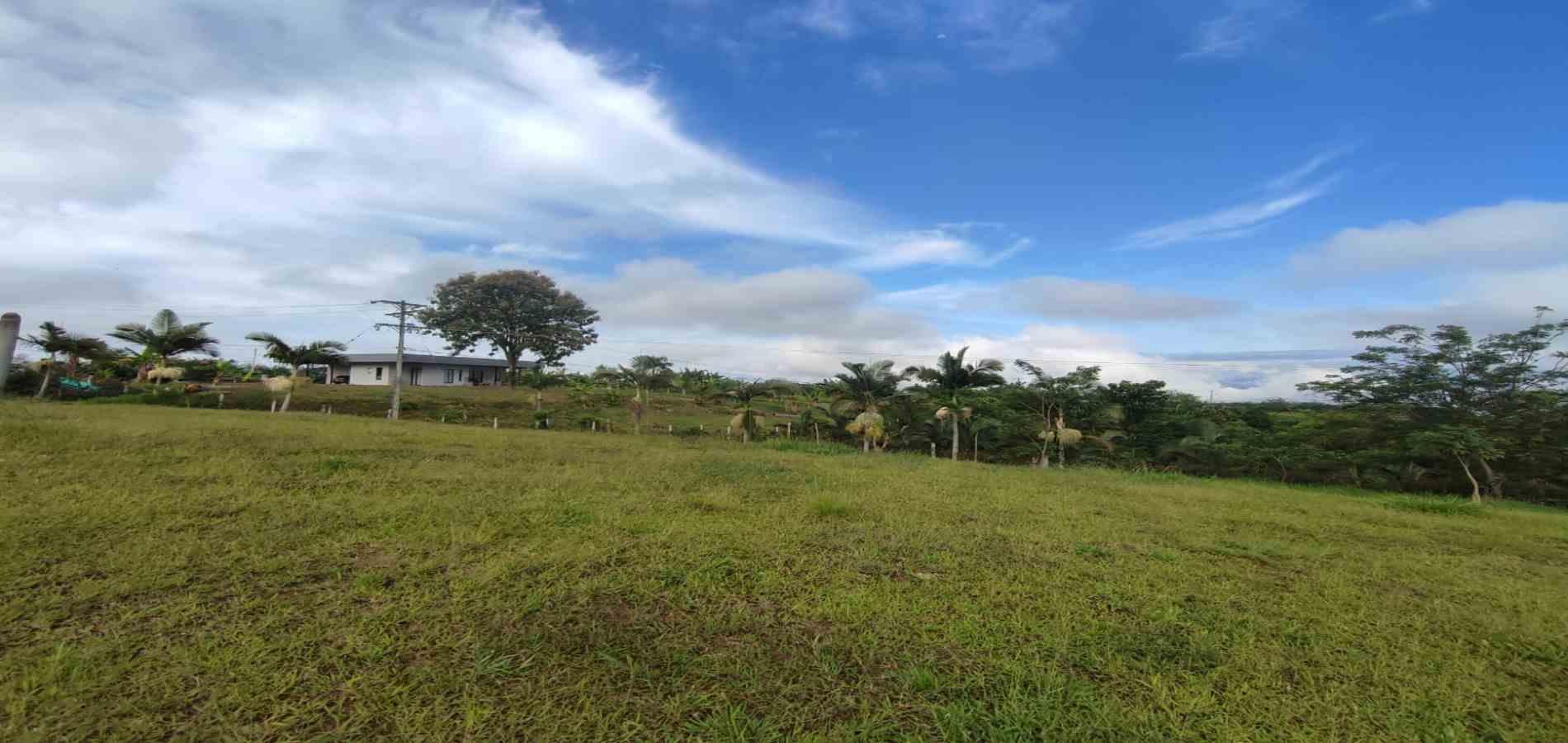 Foto de Lote / terreno en Venta en Cerritos, Pereira - 10 - 279063207