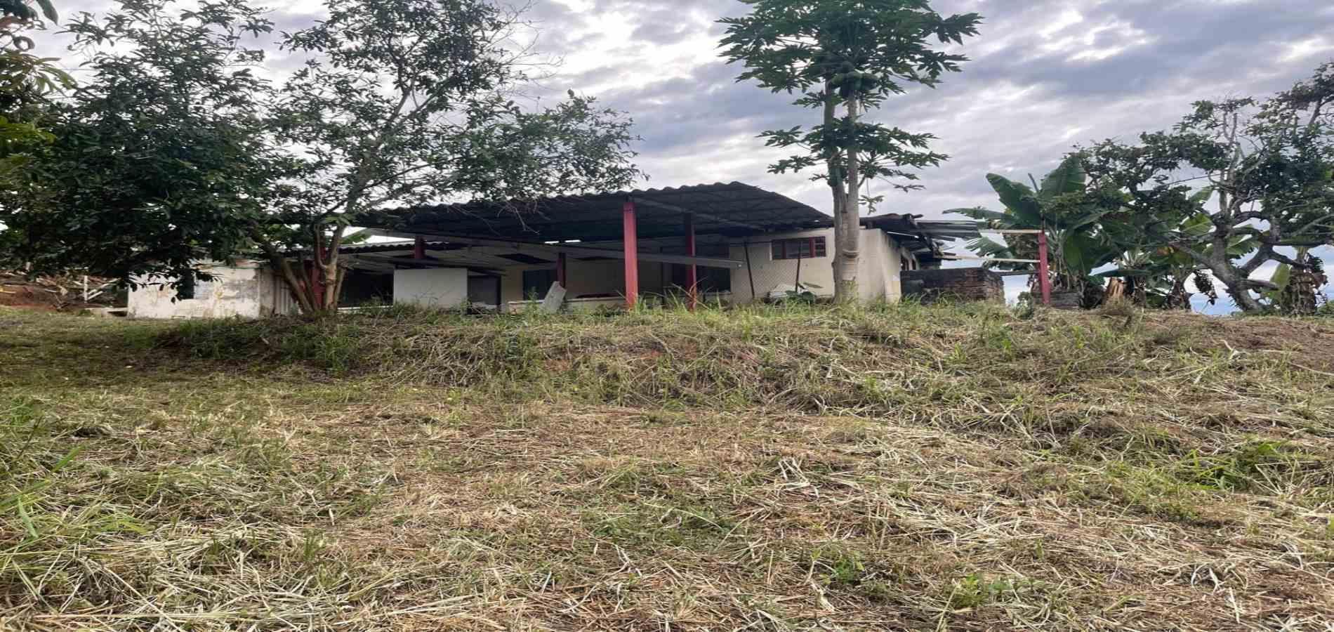 Foto de Finca en Venta en La plata, Palestina - 5 - 279070231