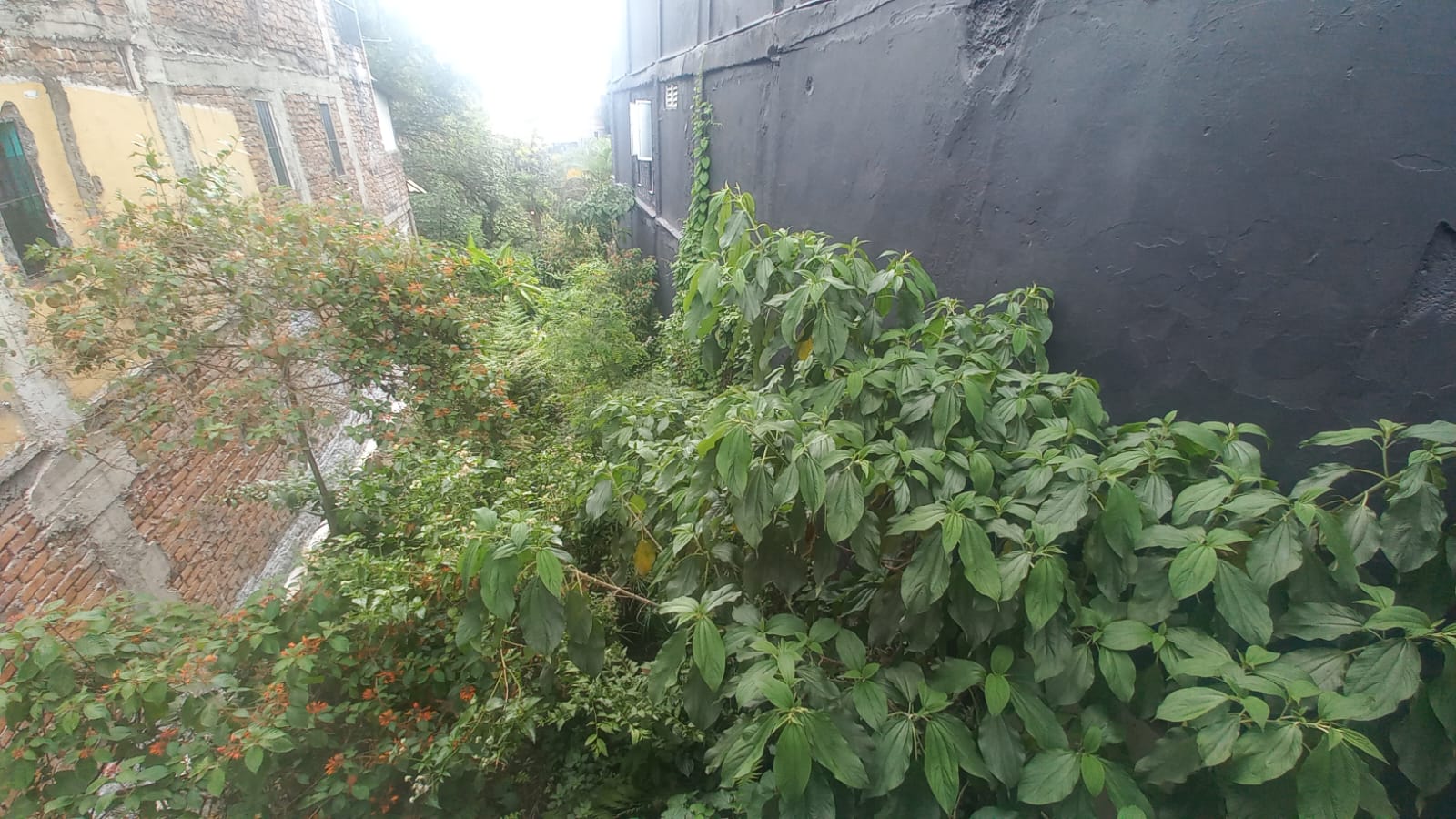 Foto de Lote / terreno para Venta en Fundadores, Armenia  - 279056606