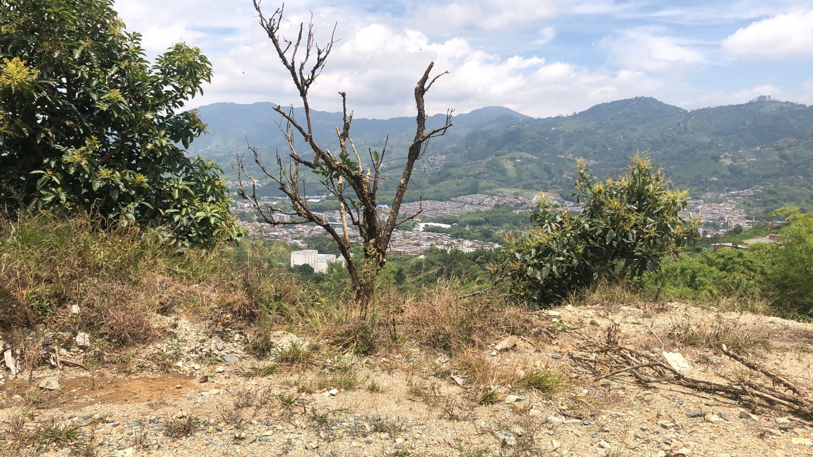 Foto de Lote / terreno en Venta en Dosquebradas, Dosquebradas - 12 - 279053268
