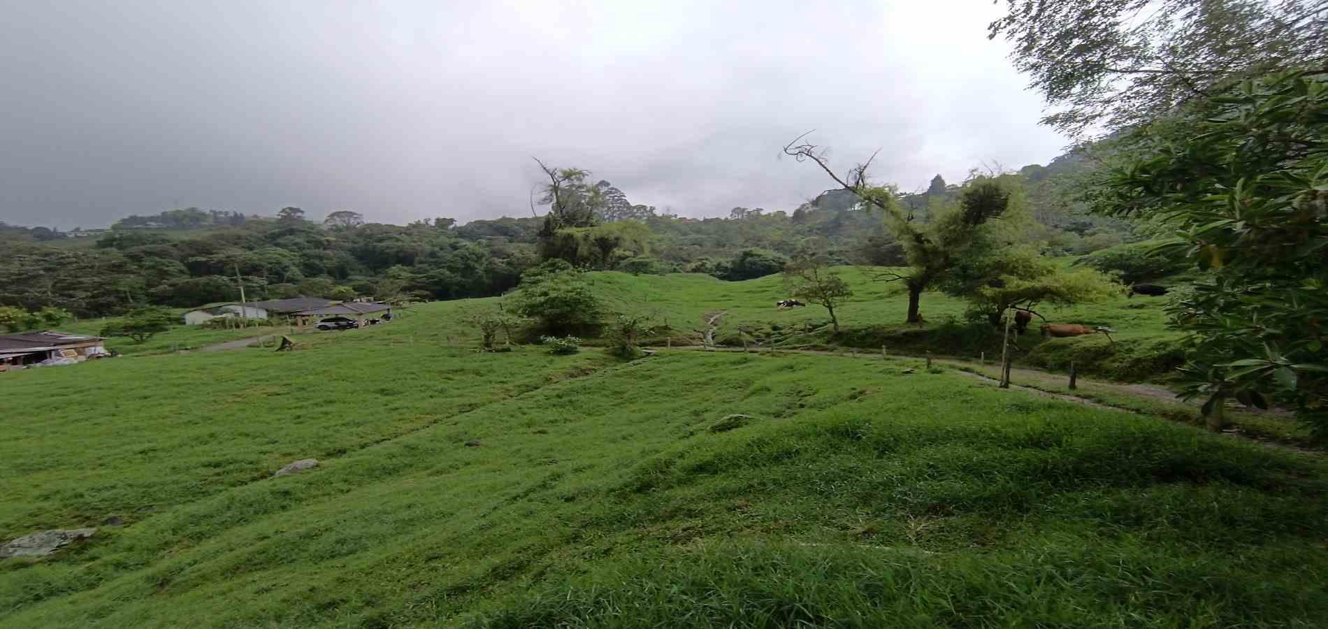 Foto de Finca en Venta en La francia, Manizales - 7 - 279066742