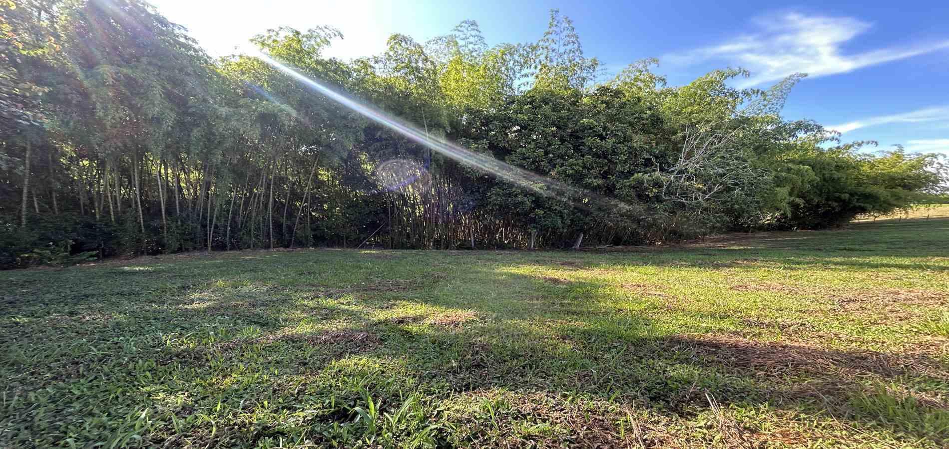 Foto de Lote / terreno en Venta en Cerritos, Pereira - 23 - 279069202