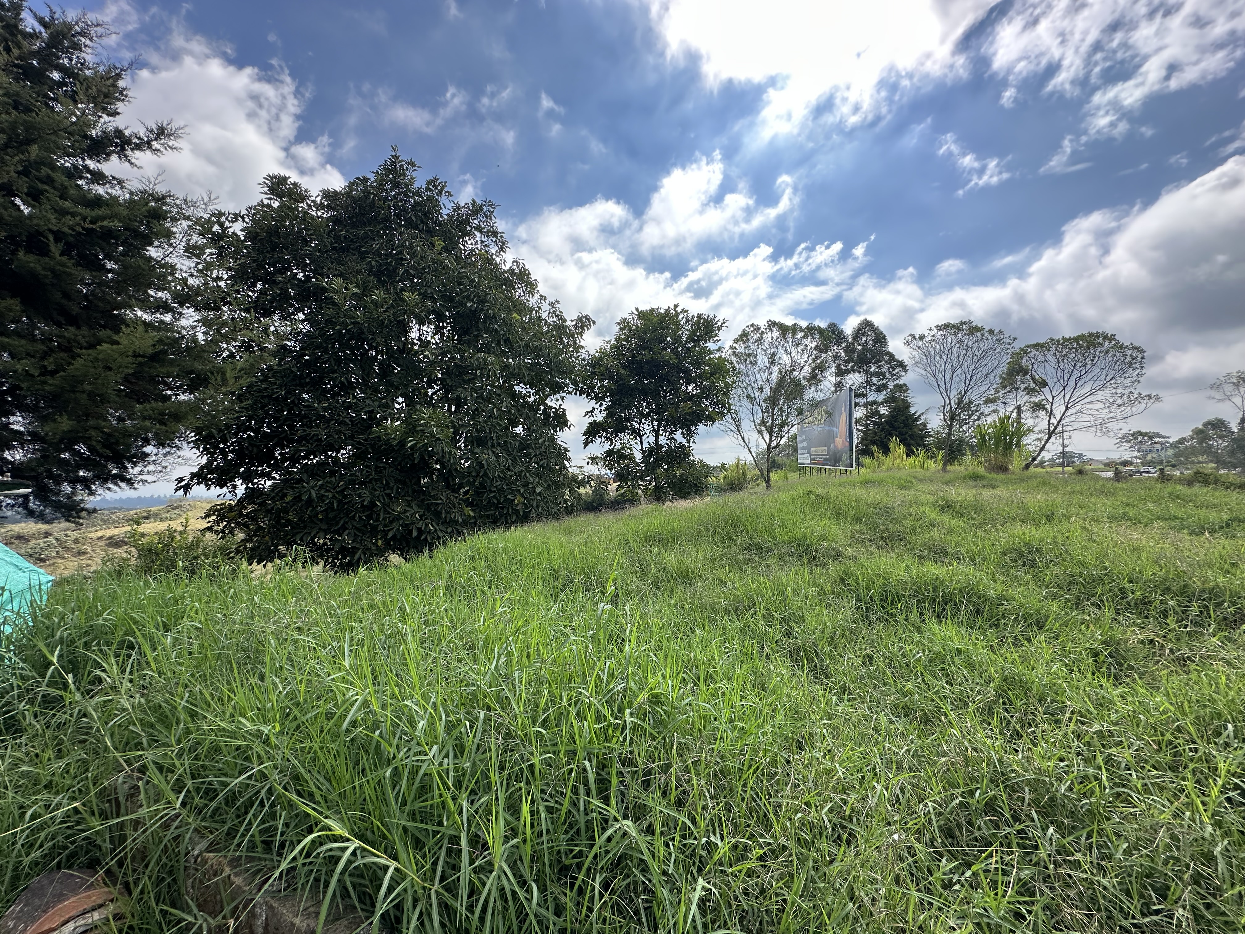 Foto de Lote / terreno en Venta en Via circasia, Armenia  - 15 - 279070024
