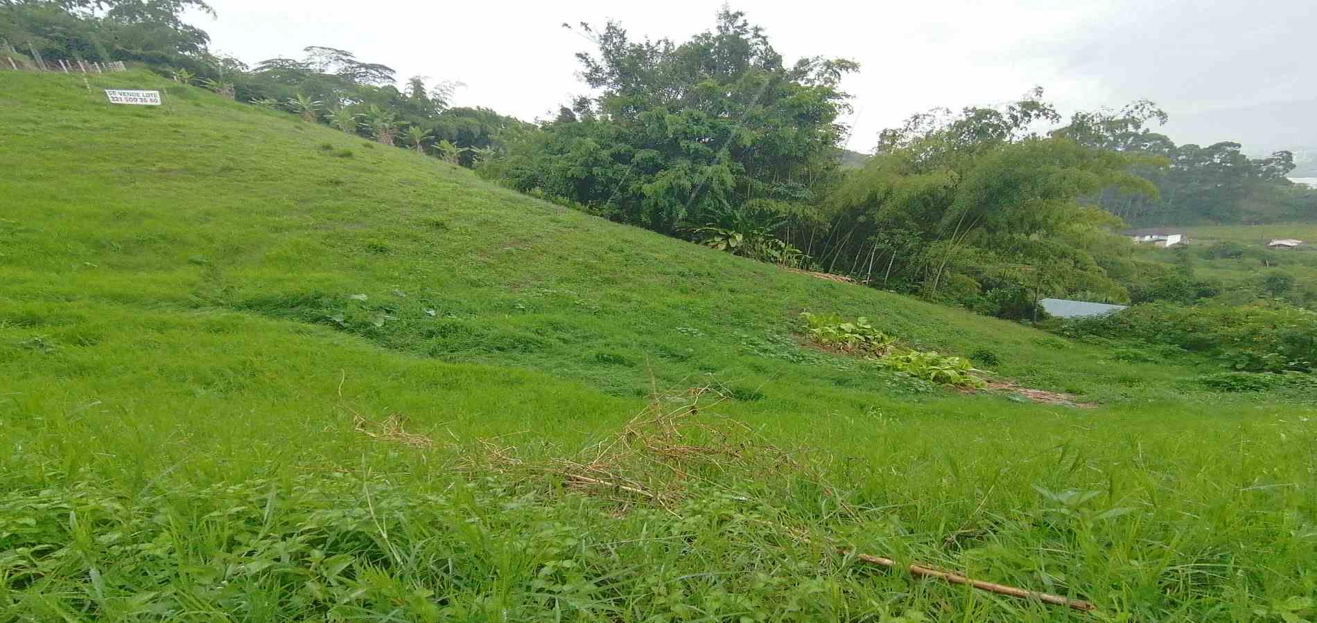 Foto de Lote / terreno en Venta en Av. la romelia el pollo, Dosquebradas - 1 - 279058705