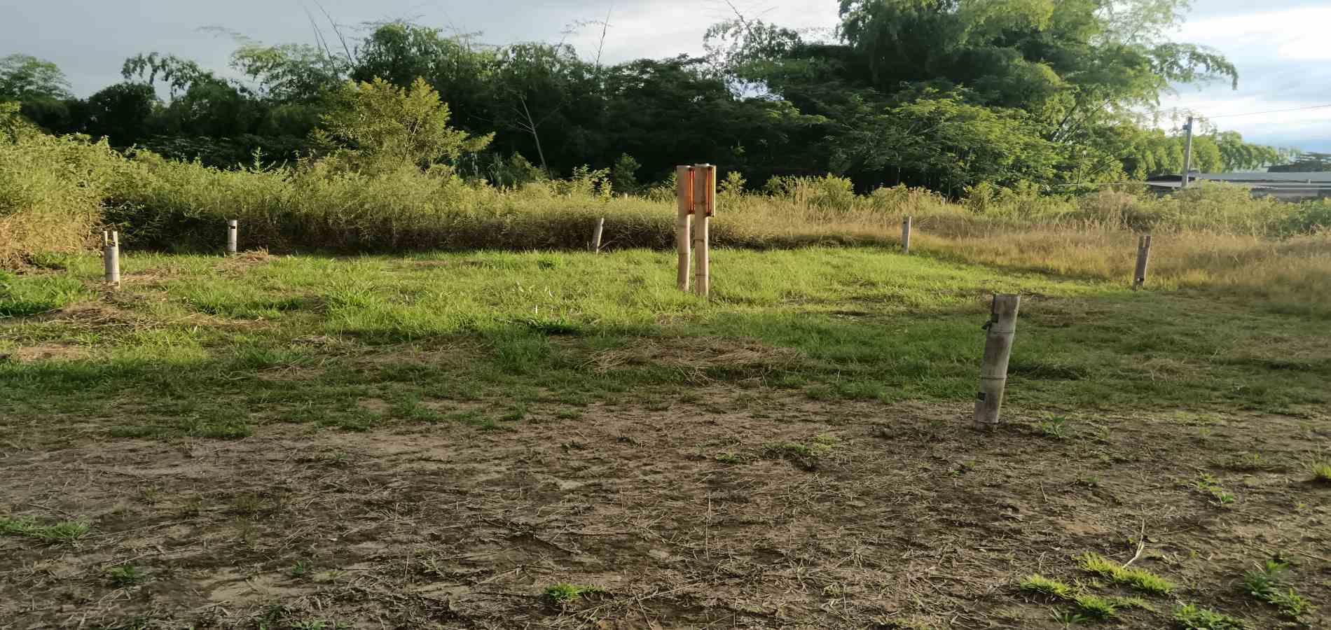 Foto de Lote / terreno en Venta en UrbanizaciÓn santana, Armenia  - 25 - 279059323