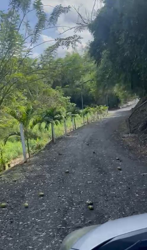 Foto de Lote / terreno en Venta en Via alcala, Pereira - 2 - 279060936