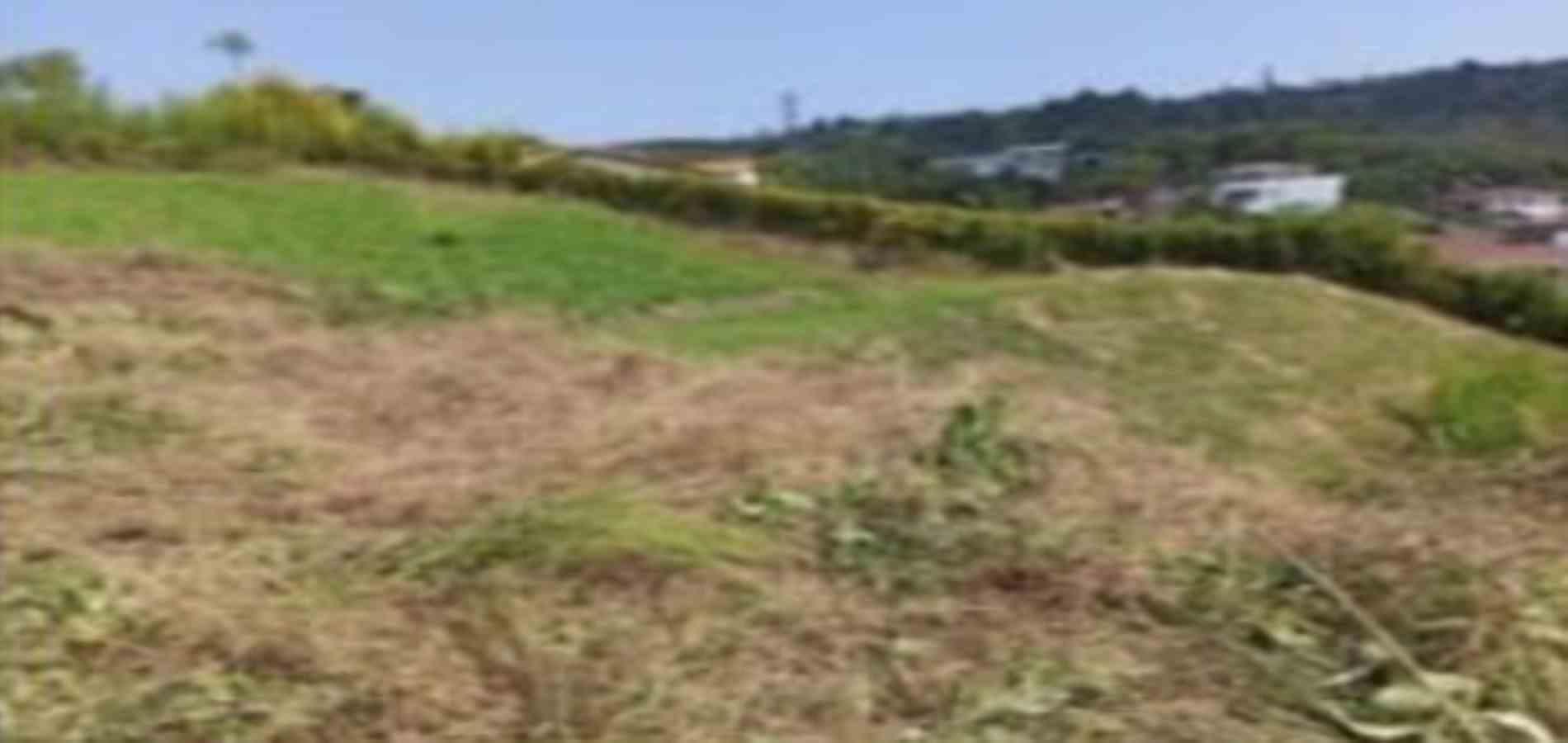 Foto de Lote / terreno en Venta en La plata, Palestina - 6 - 279054346
