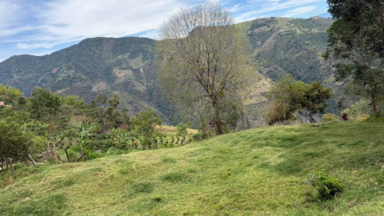 Foto de Lote / terreno para Venta en Vereda el chamizo, Salamina - 279069863