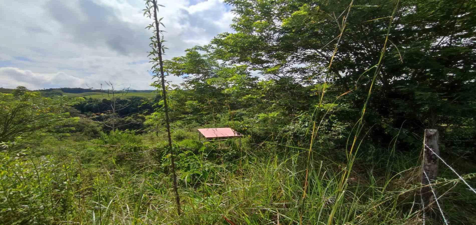 Foto de Lote / terreno en Venta en Cerritos, Pereira - 6 - 279063220