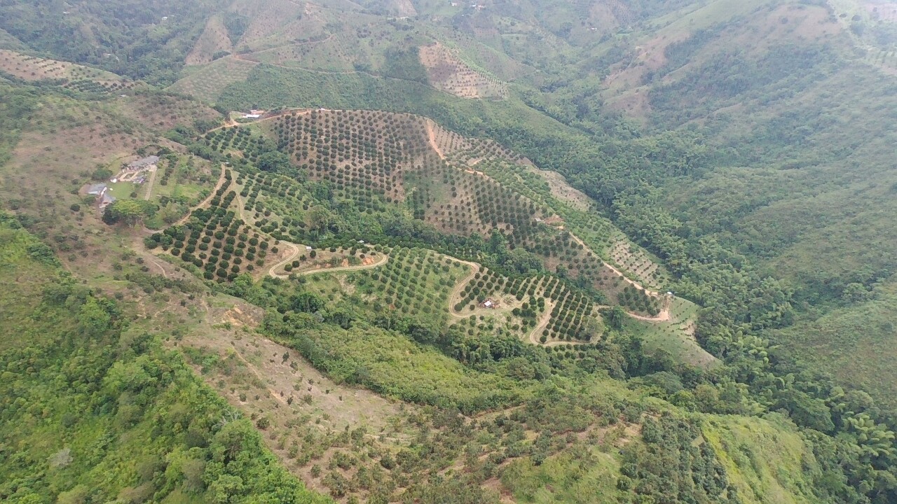 Foto de Finca en Venta en Vereda tambores - balboa, Pereira - 5 - 279070307