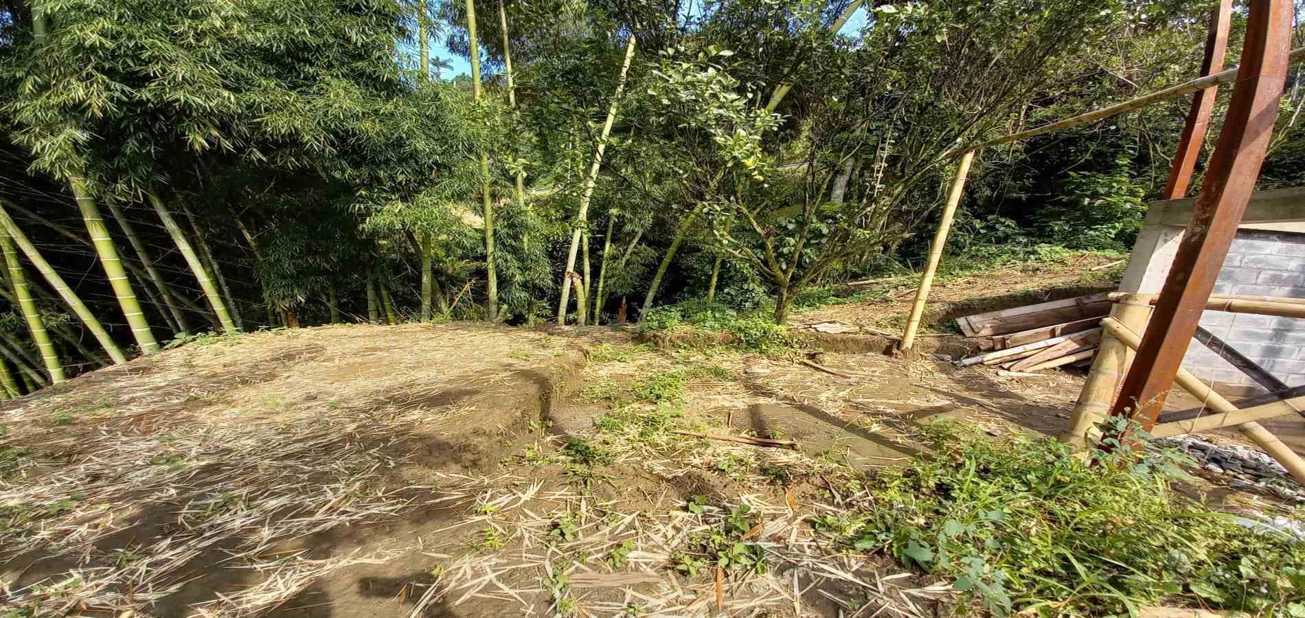 Foto de Finca en Venta en San peregrino, Manizales - 19 - 279061656