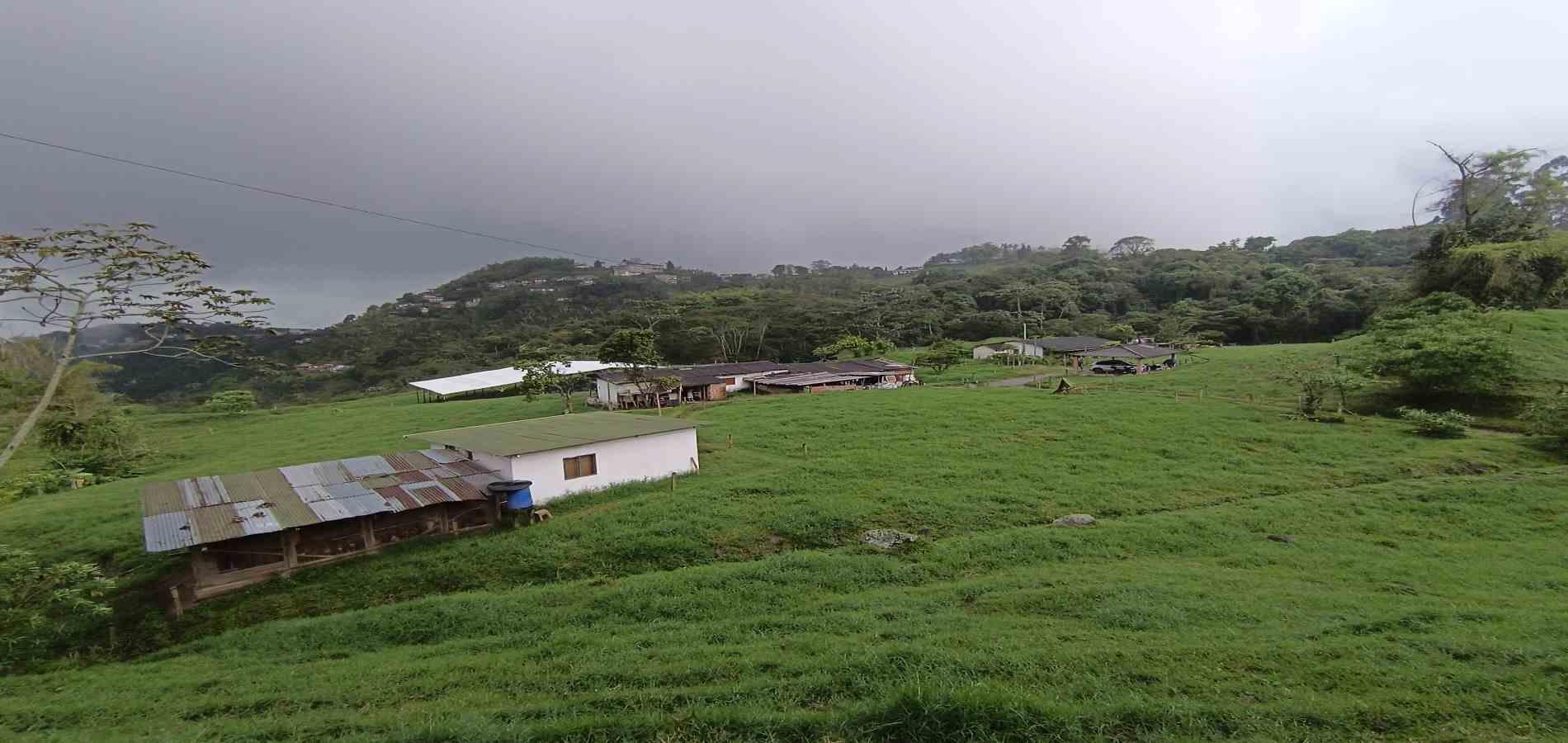 Foto de Finca en Venta en La francia, Manizales - 6 - 279066742