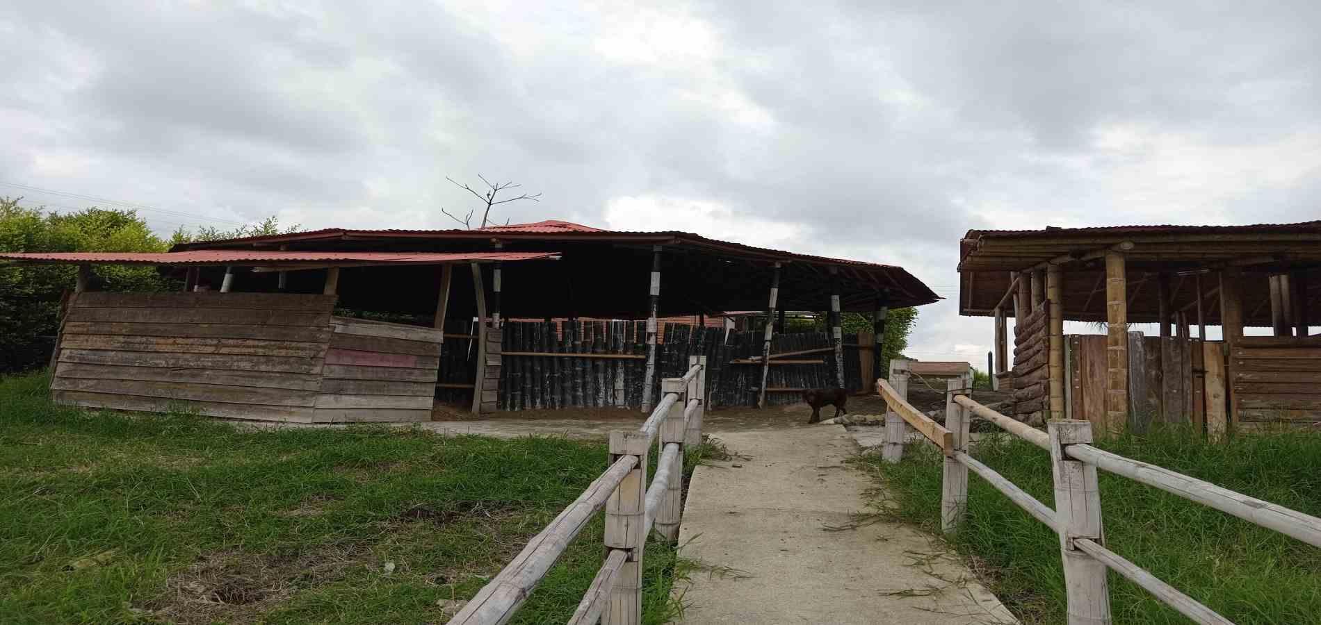 Foto de Finca en Venta en A dos cuadras del parque, Circasia - 1 - 279056832