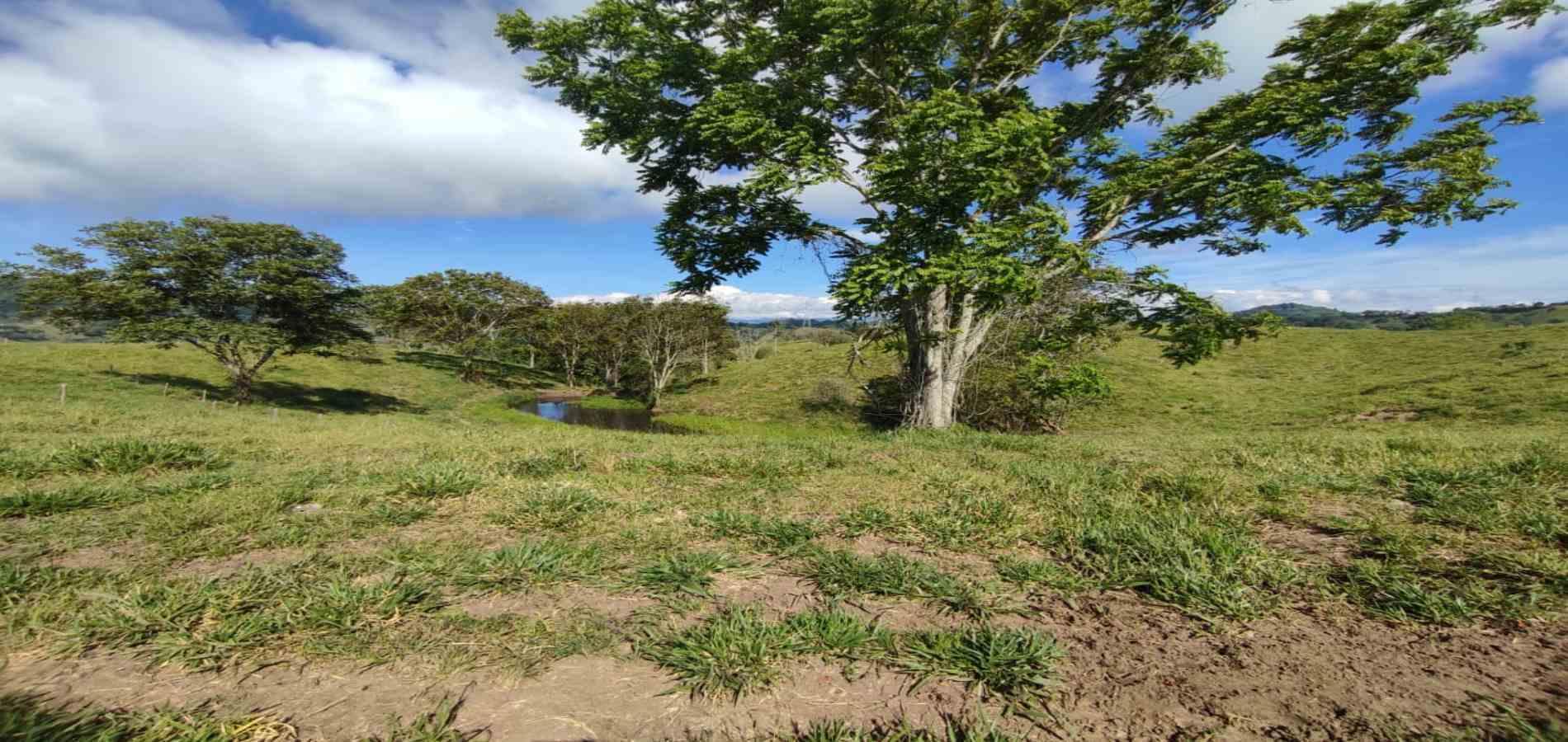 Foto de Lote / terreno en Venta en Cerritos, Pereira - 1 - 279064552