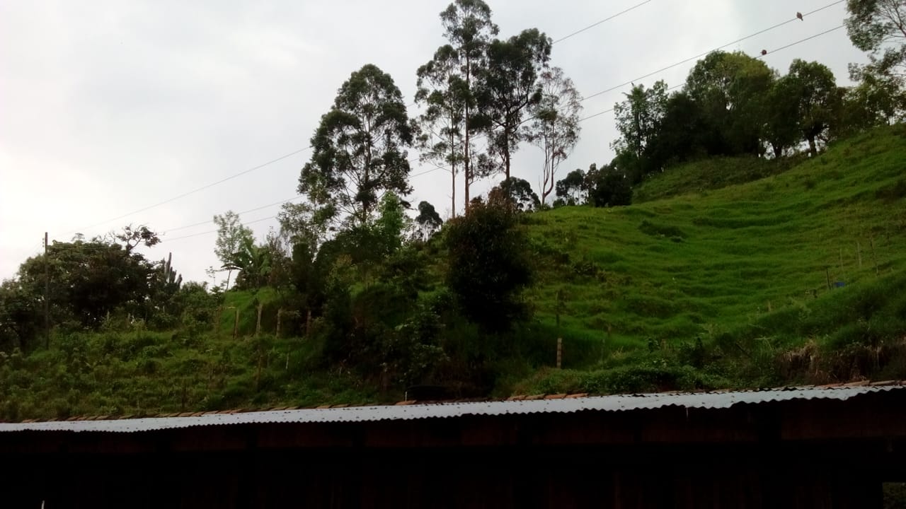 Foto de Finca en Venta en La florida, Pereira - 4 - 279060579
