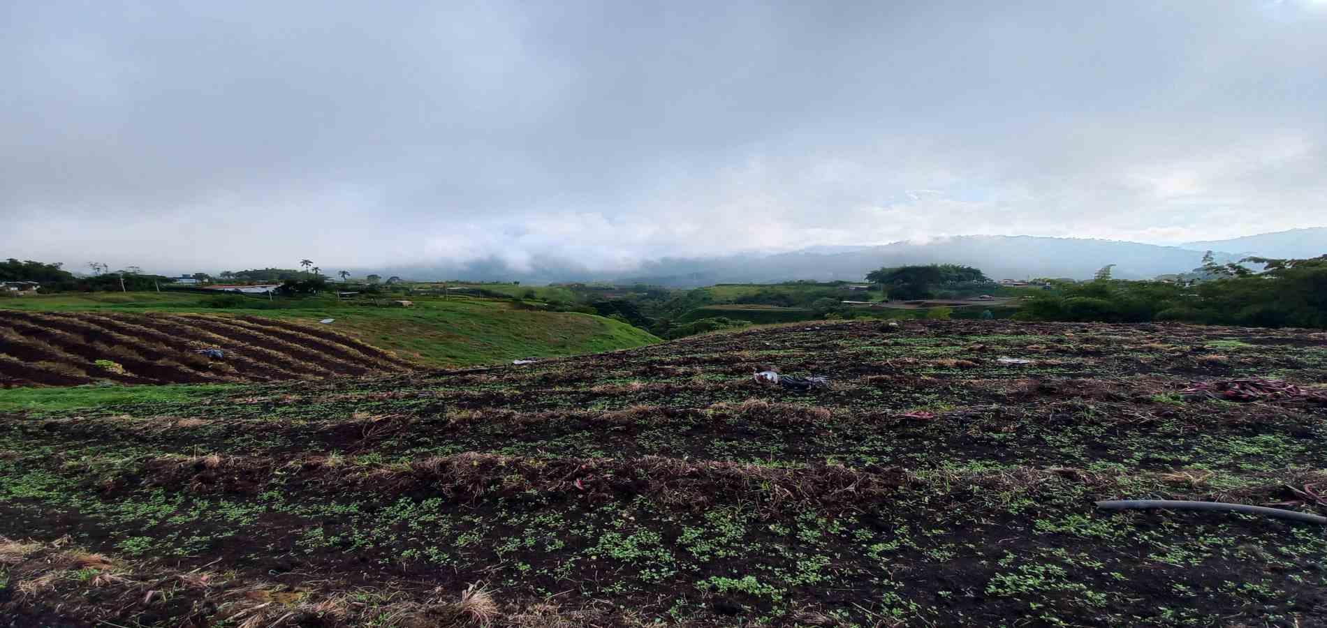 Foto de Lote / terreno en Venta en Vereda el lembo, Santa rosa de cabal - 8 - 279066290