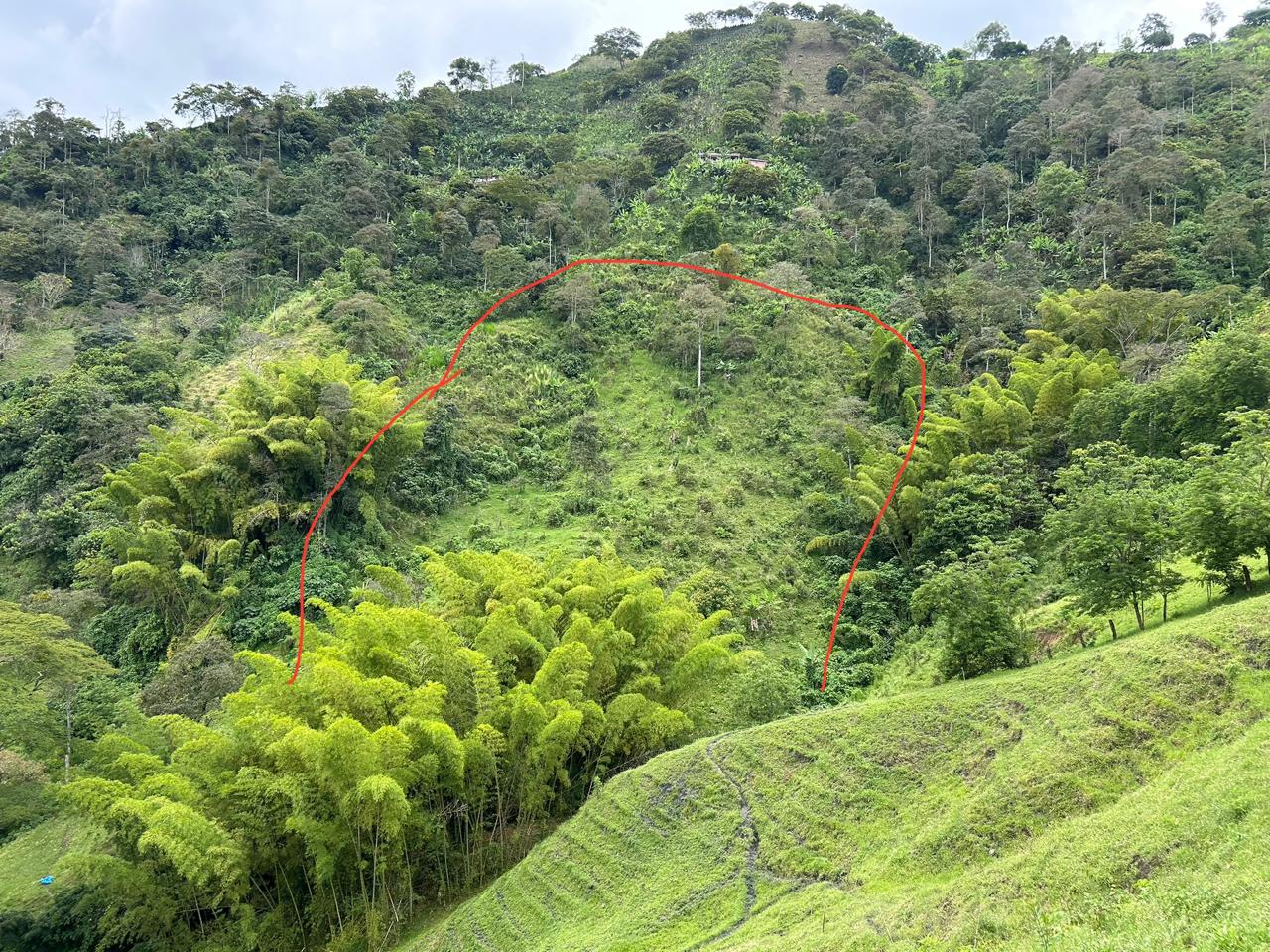 Foto de Finca en Venta en La cabaña, Manizales - 5 - 279062726