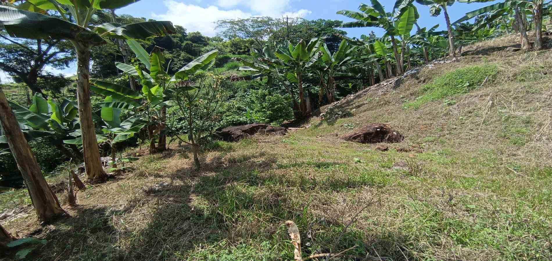 Foto de Lote / terreno en Venta en La plata, Palestina - 3 - 279067174