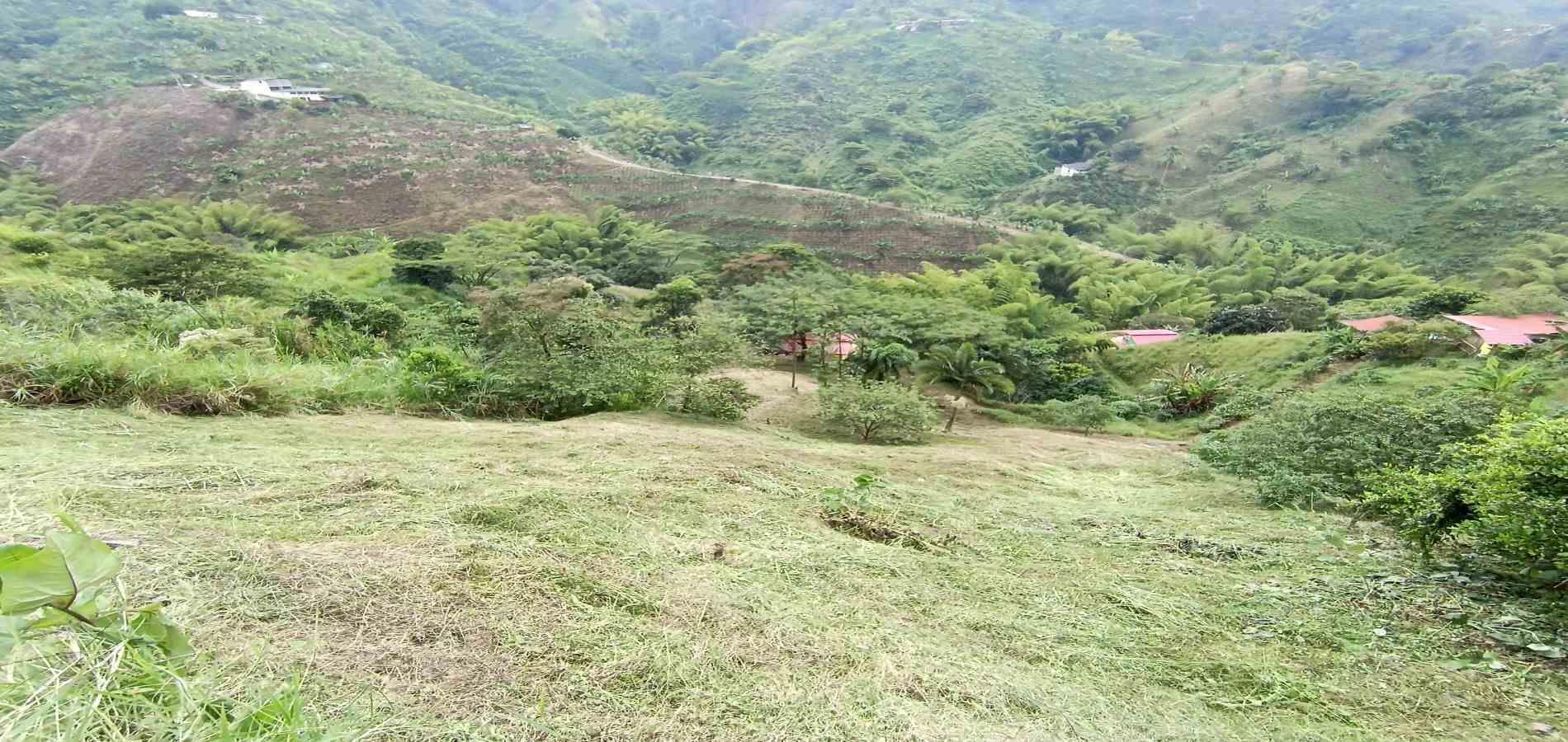 Foto de Lote / terreno en Venta en Vereda la trinidad, Manizales - 13 - 279066610