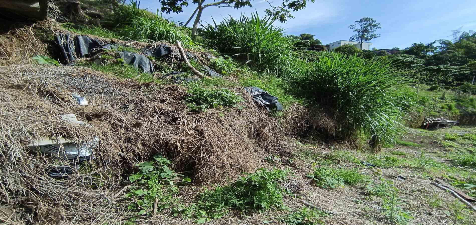 Foto de Lote / terreno en Venta en Vereda el tablazo, Manizales - 19 - 279067740
