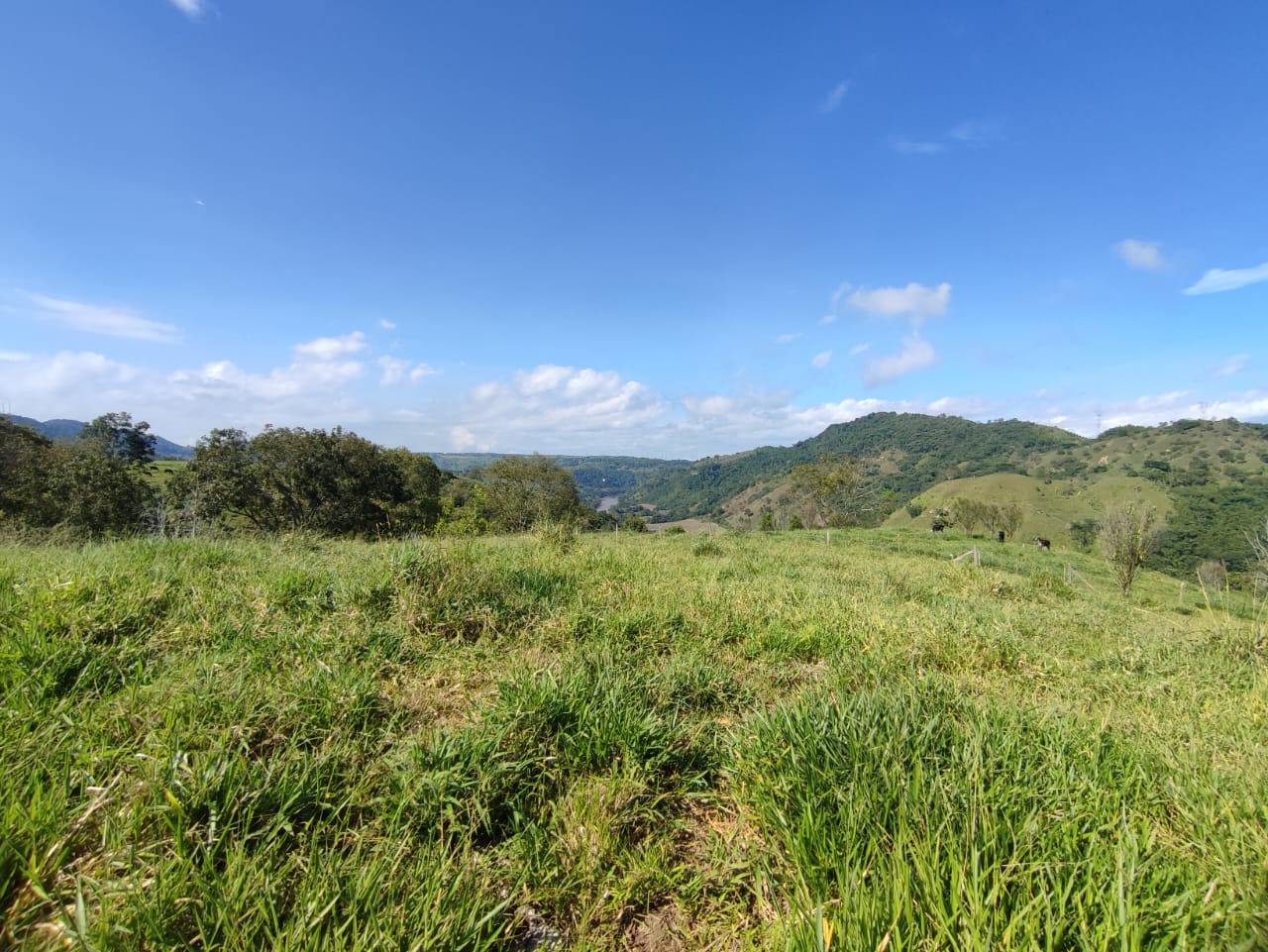 Foto de Lote / terreno en Venta en Cerritos, Pereira - 25 - 279064552