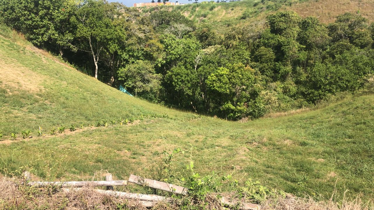 Foto de Lote / terreno en Venta en Cerritos, Pereira - 2 - 279055628