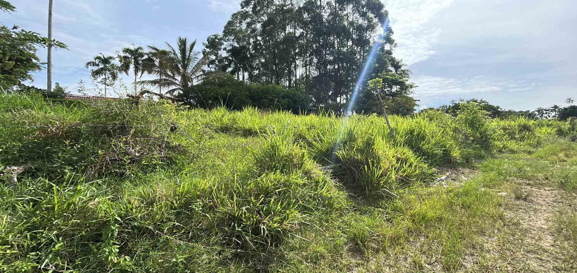 Foto de Lote / terreno en Venta en Cerritos, Pereira - 4 - 279068090