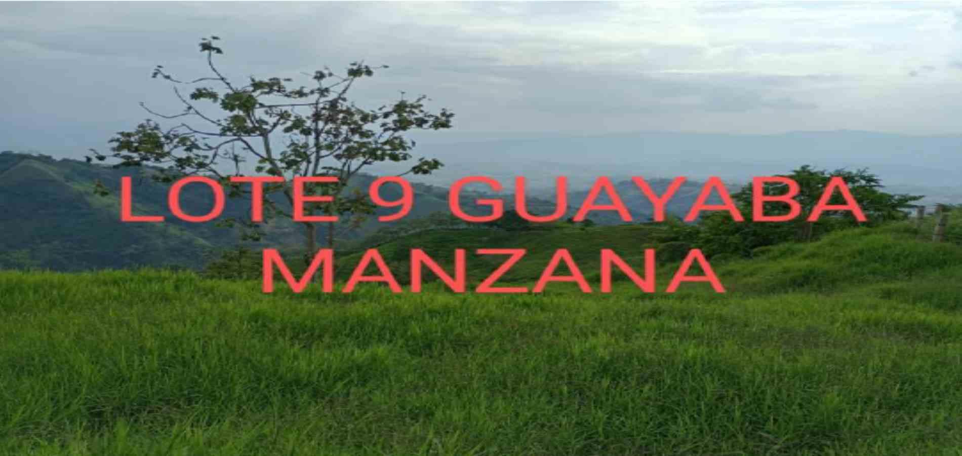 Foto de Lote / terreno en Venta en Vereda armenia , Neira - 21 - 279026013