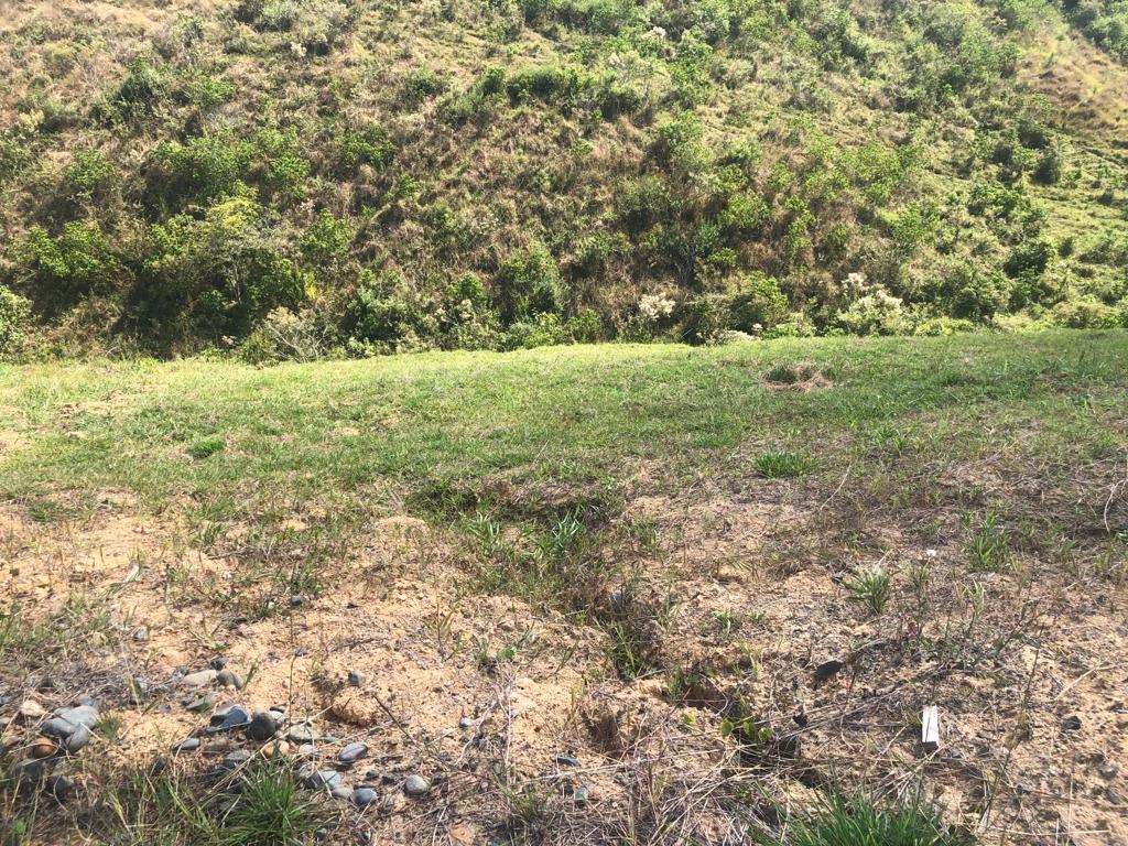 Foto de Lote / terreno en Venta en Cerritos, Pereira - 1 - 2790555100