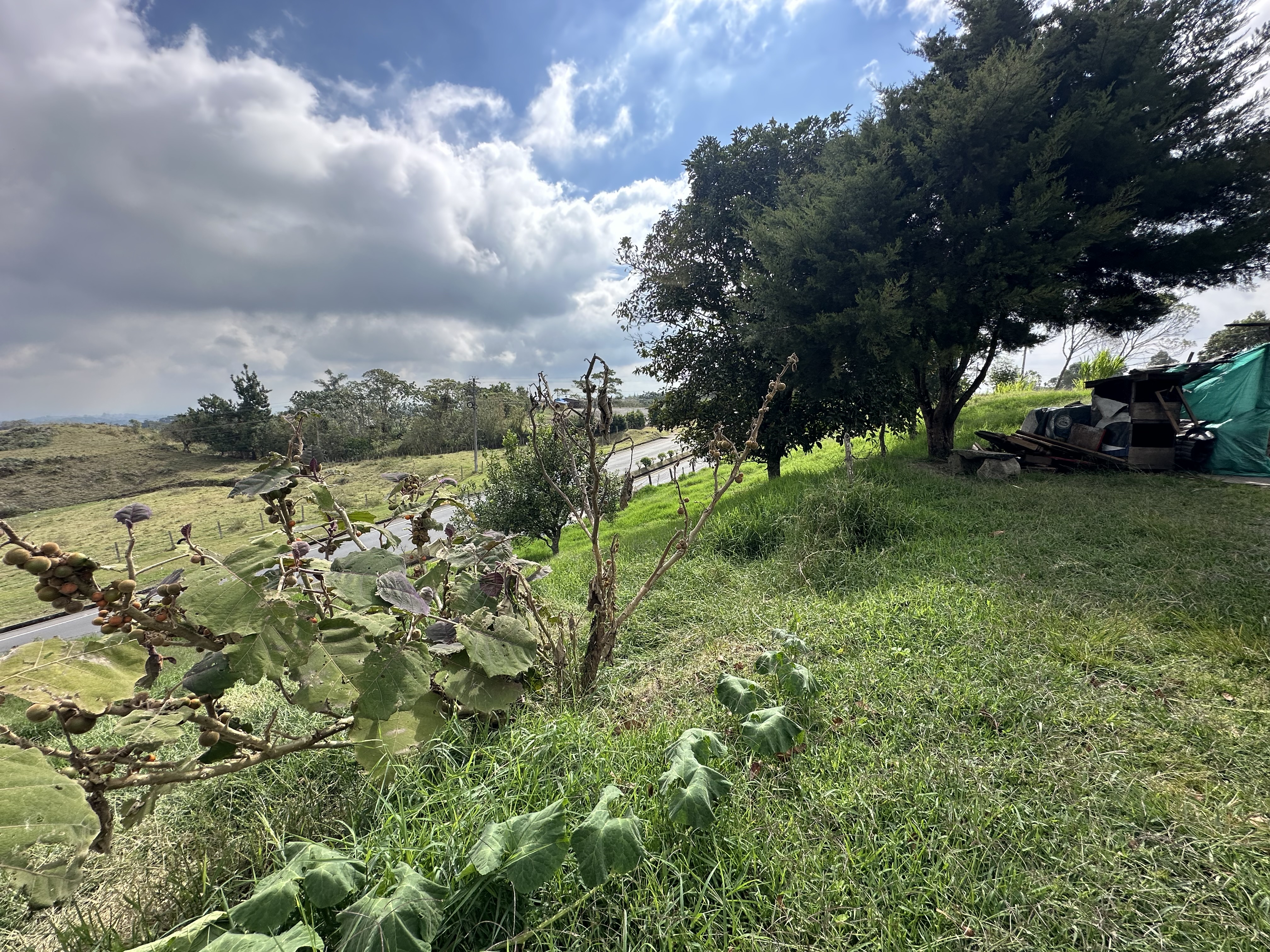 Foto de Lote / terreno en Venta en Via circasia, Armenia  - 17 - 279070024
