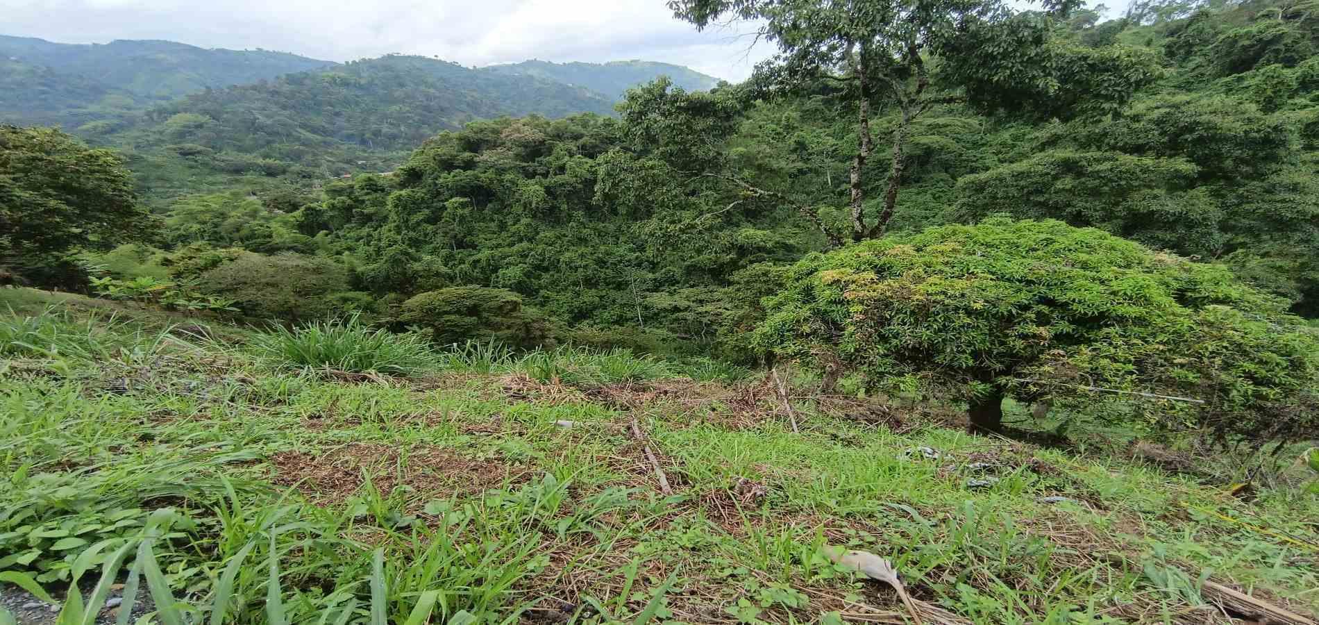 Foto de Lote / terreno en Venta en Vereda minitas , Manizales - 12 - 279068548