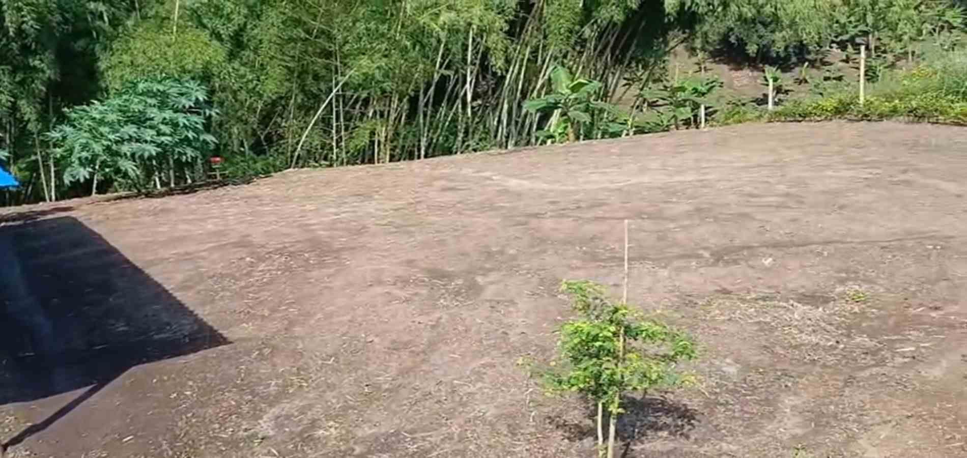 Foto de Lote / terreno para Venta en Via alcala, Pereira - 279064781