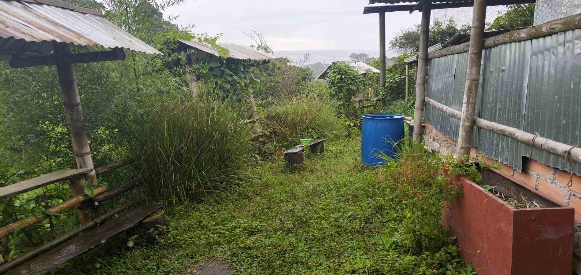 Foto de Finca en Venta en Filandia, Filandia - 7 - 279066888