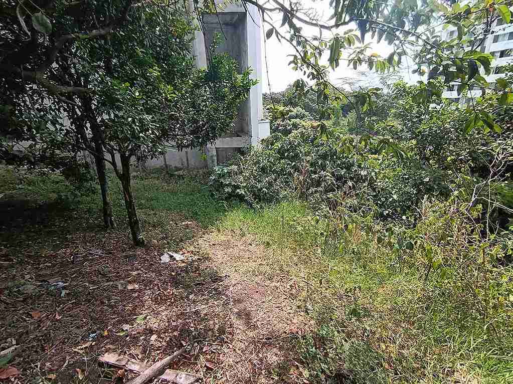 Foto de Lote / terreno en Venta en Avenida 19 norte, Armenia  - 4 - 279058970
