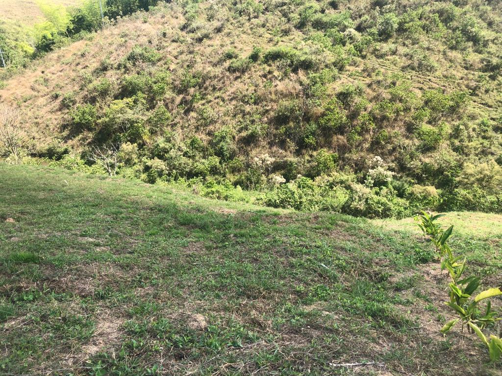 Foto de Lote / terreno en Venta en Cerritos, Pereira - 15 - 2790555100