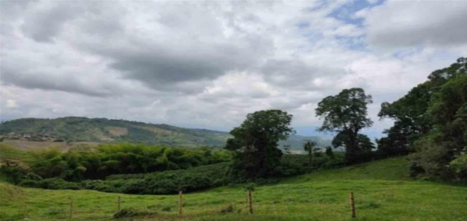 Foto de Lote / terreno para Venta en La plata, Palestina - 279054331