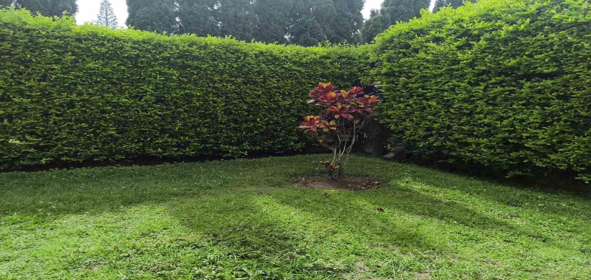Foto de Casa en Arriendo en Via al valle, Armenia  - 19 - 279068070