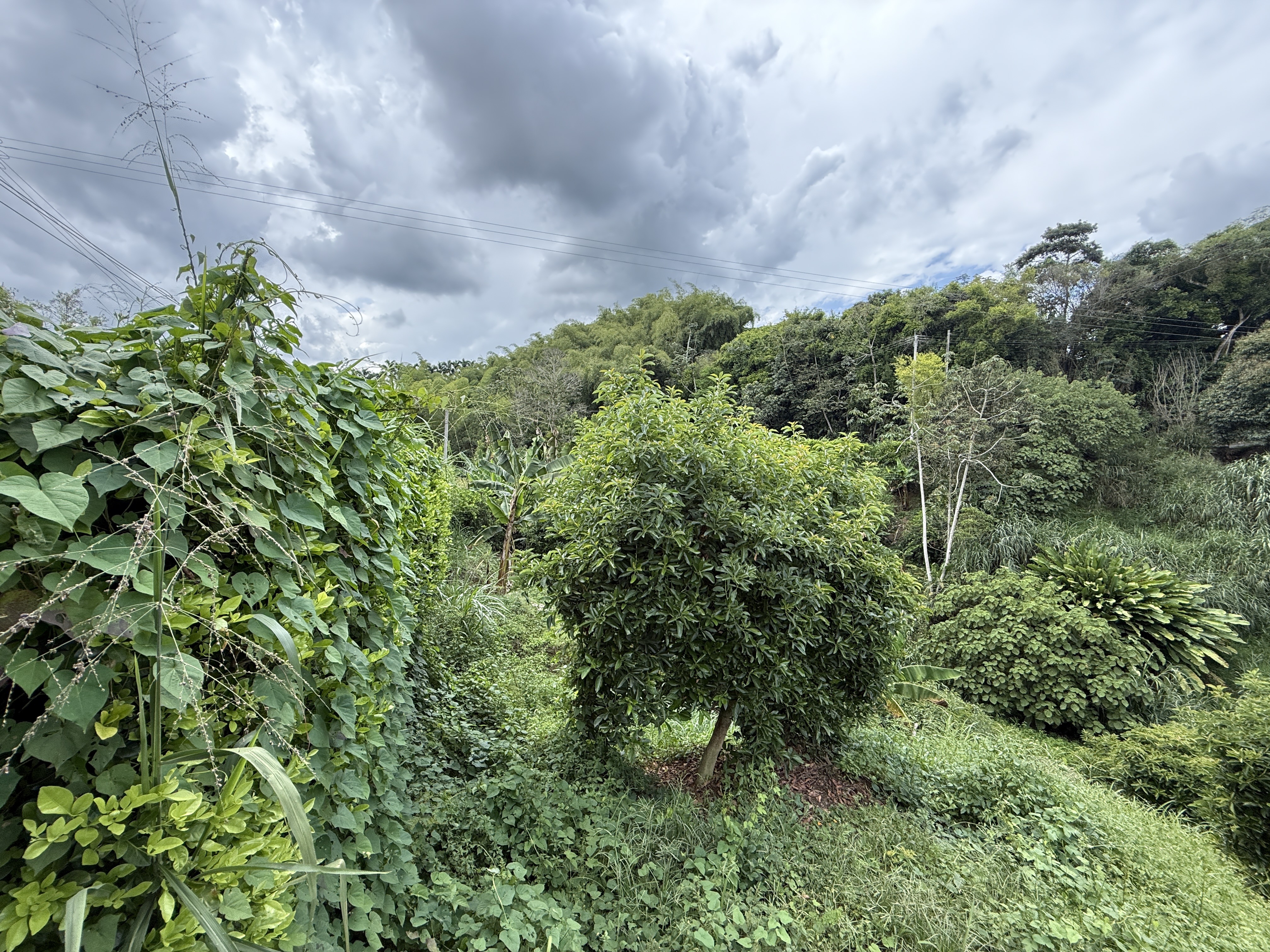 Foto de Lote / terreno en Venta en Cuba , Pereira - 10 - 279065163