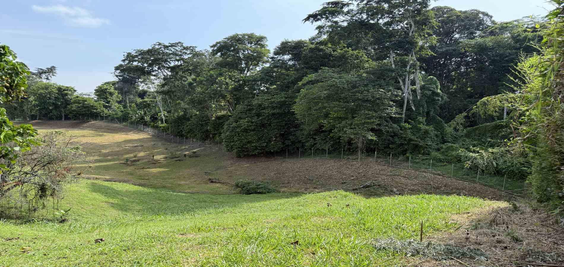 Foto de Lote / terreno en Venta en Cerritos, Pereira - 7 - 279062245