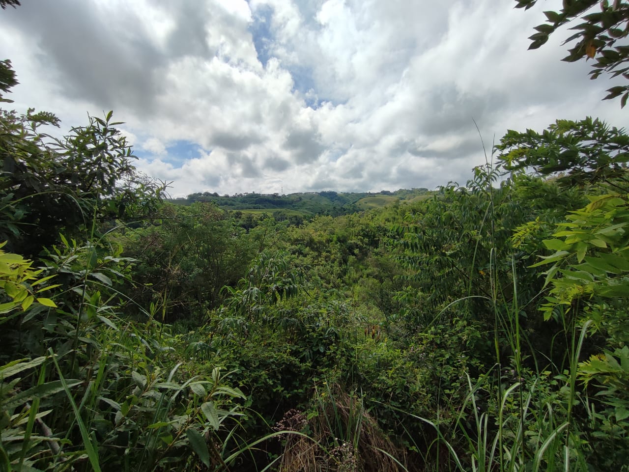 Foto de Lote / terreno en Venta en Cerritos, Pereira - 3 - 279063220