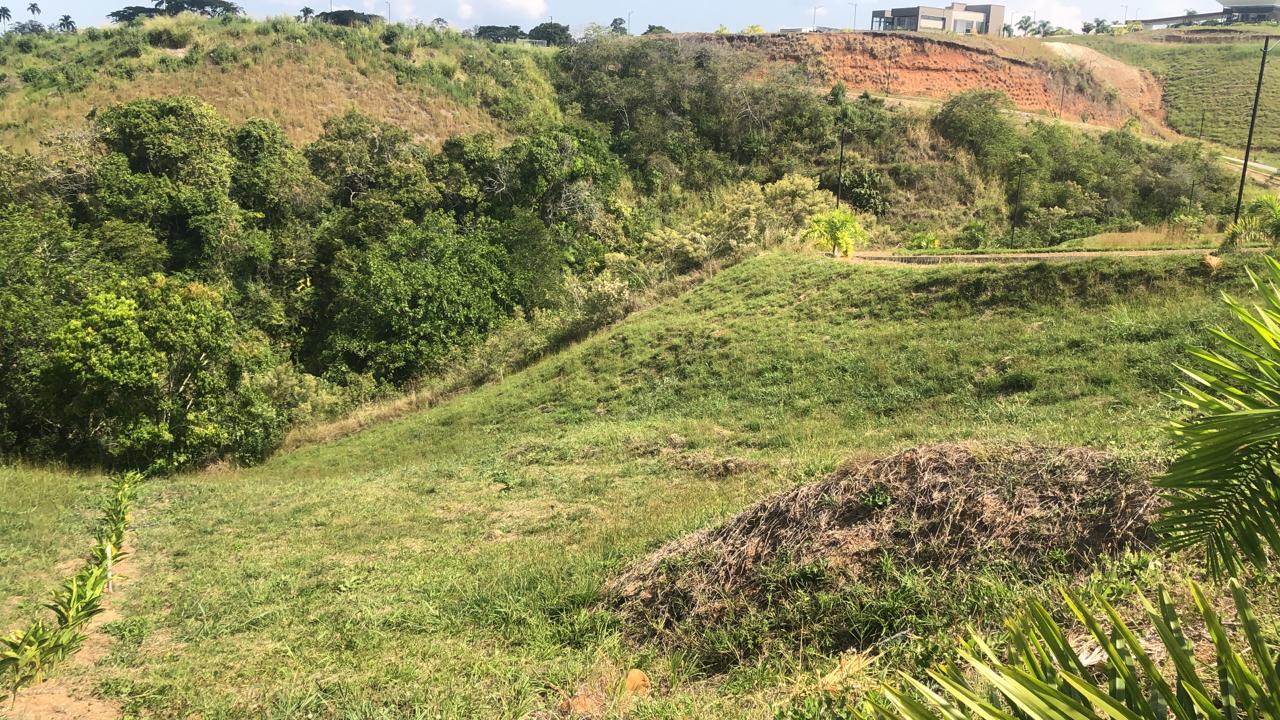 Foto de Lote / terreno en Venta en Cerritos, Pereira - 7 - 279055628