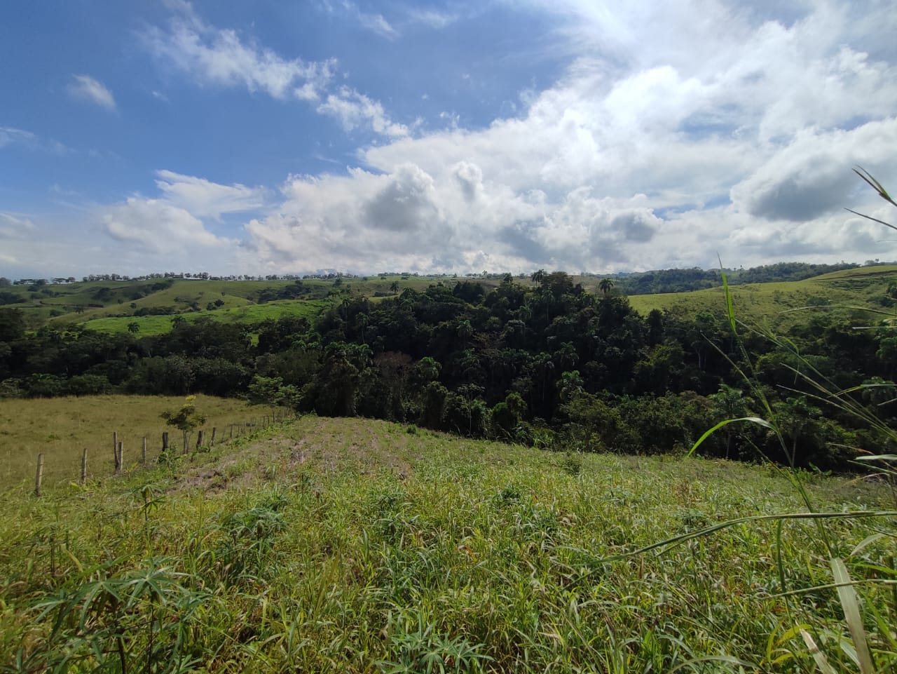 Foto de Lote / terreno en Venta en Centro, Pereira - 10 - 279063218