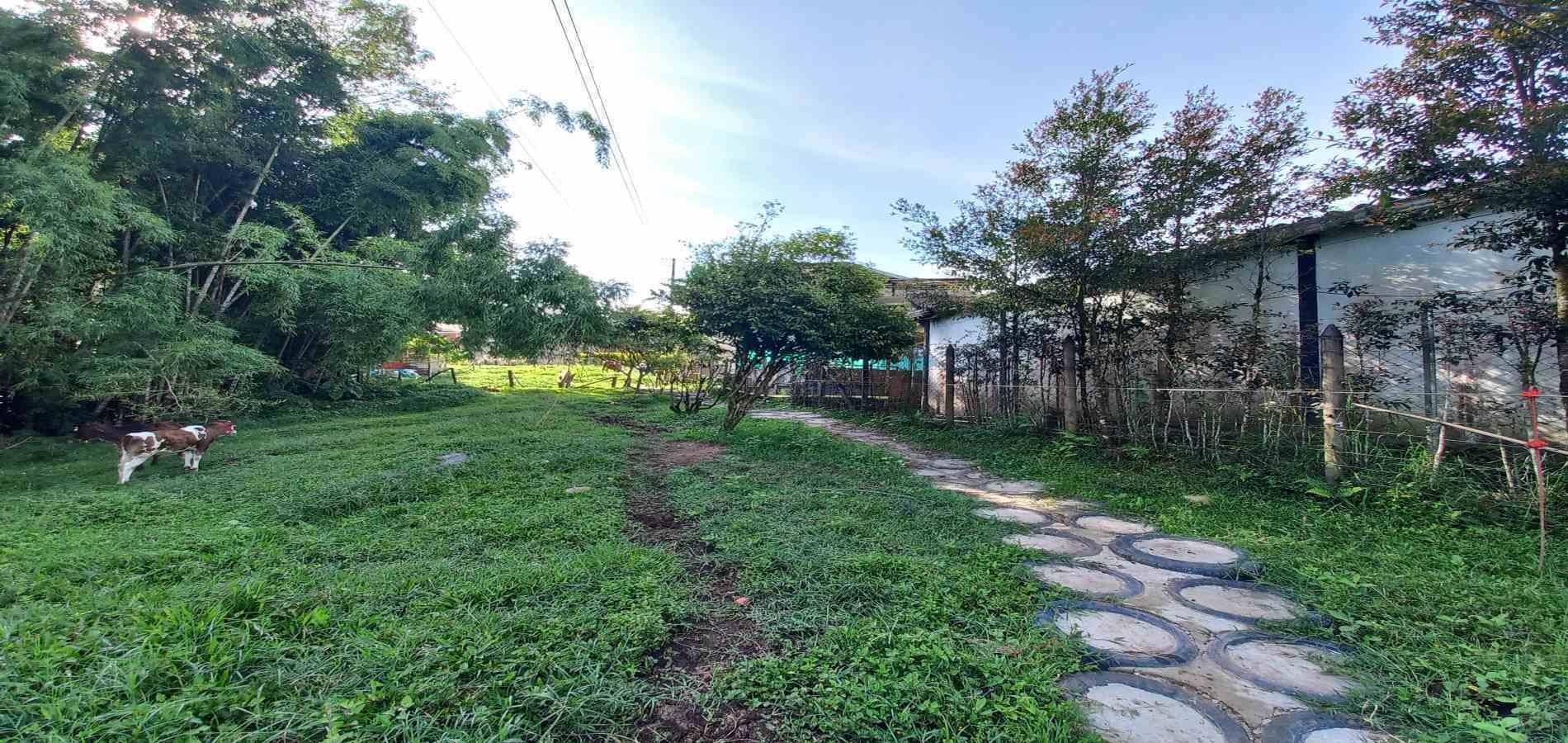Foto de Casa en Venta en Termales, Santa rosa de cabal - 13 - 279069820