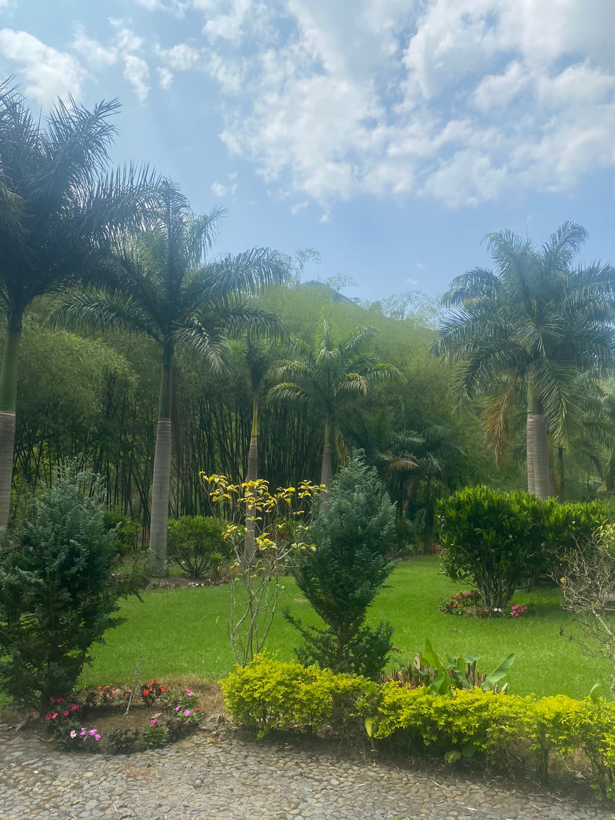 Foto de Finca en Venta en El guineo, Neira - 9 - 279053579