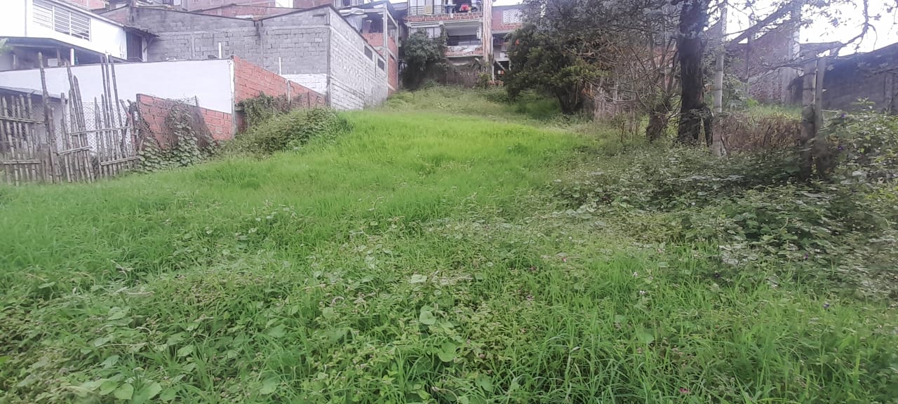 Foto de Lote / terreno en Venta en Urapanes, Villamaria - 7 - 53078
