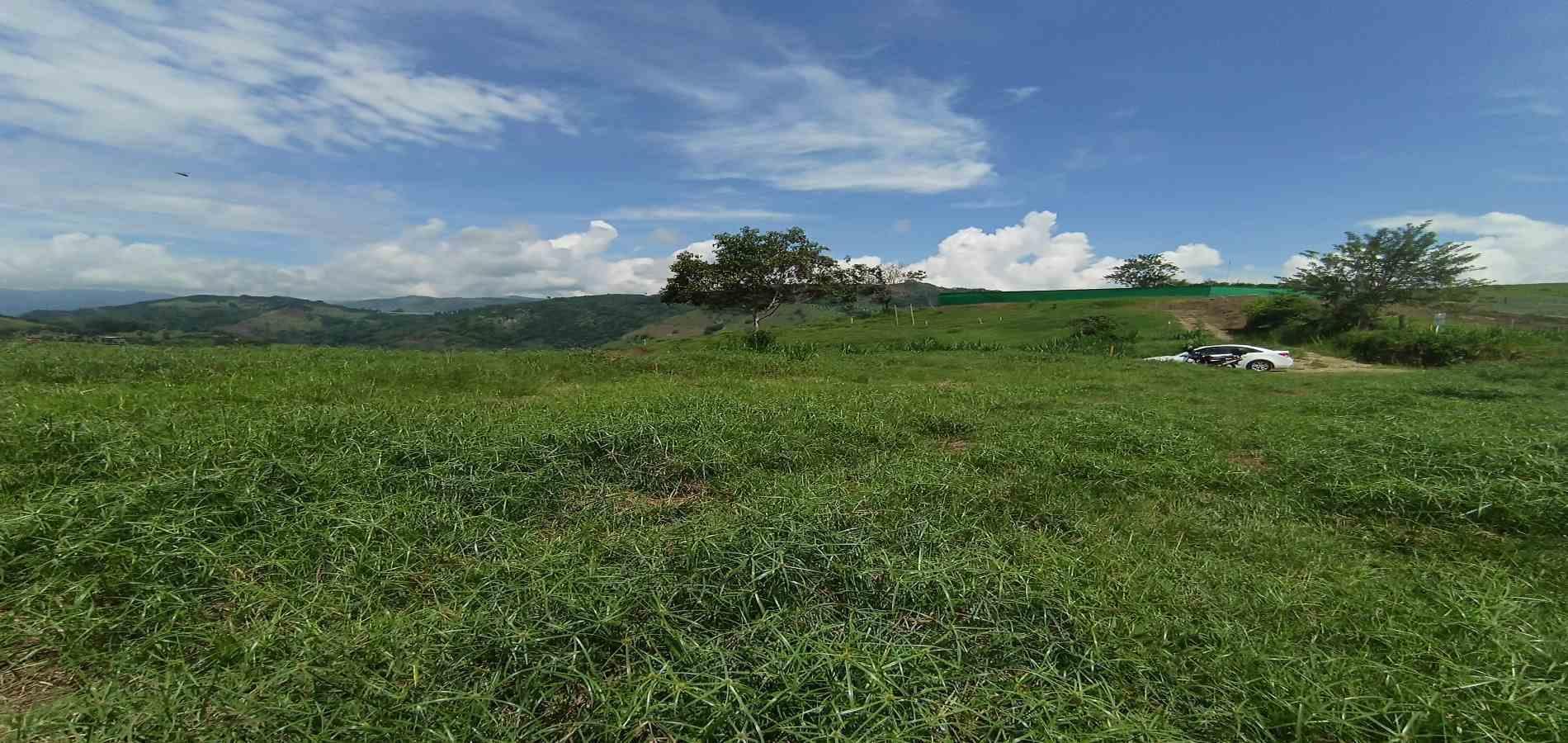 Foto de Lote / terreno para Venta en Vereda santagueda, Palestina - 279064609