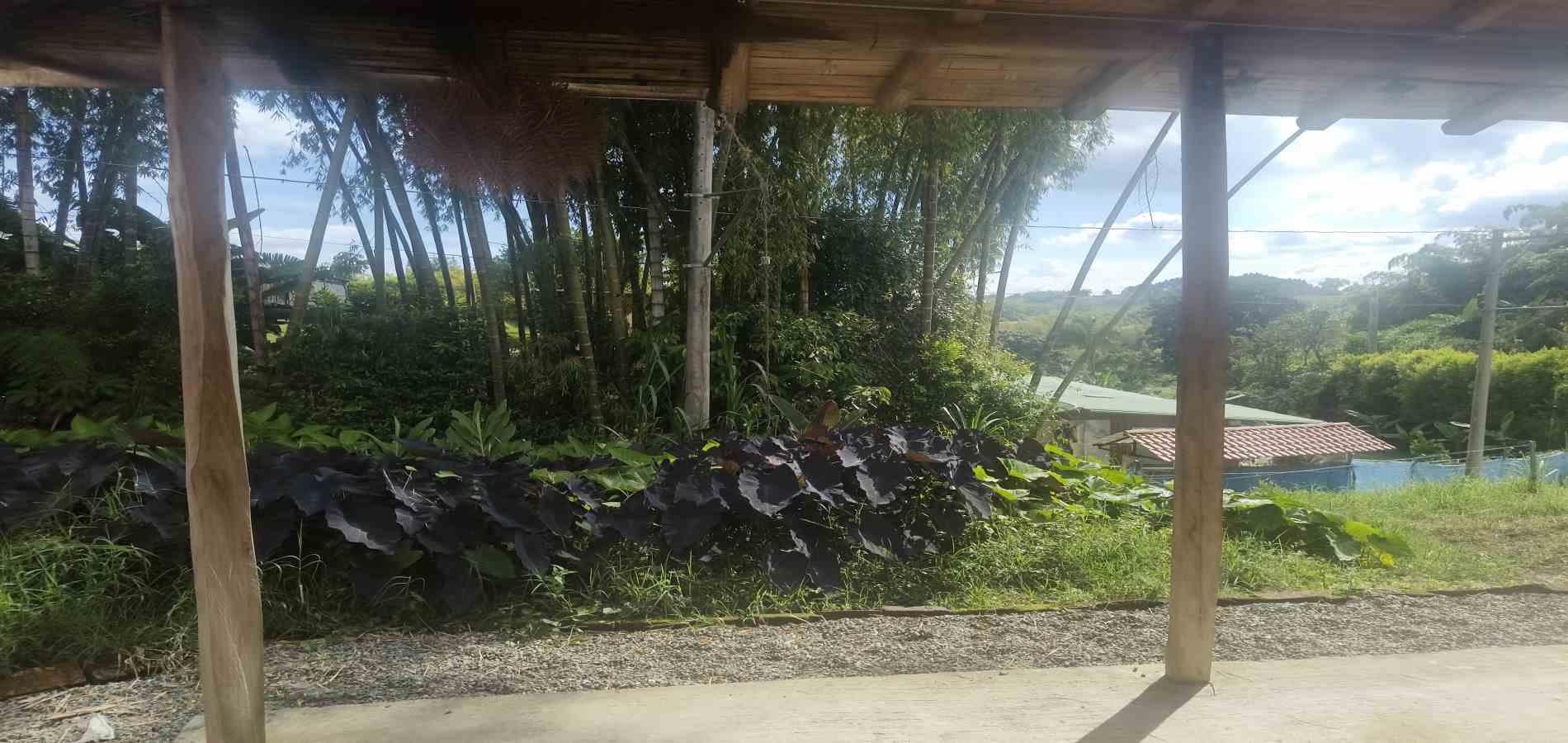 Foto de Casa en Venta en Vereda la cristalina, Circasia - 13 - 279068219