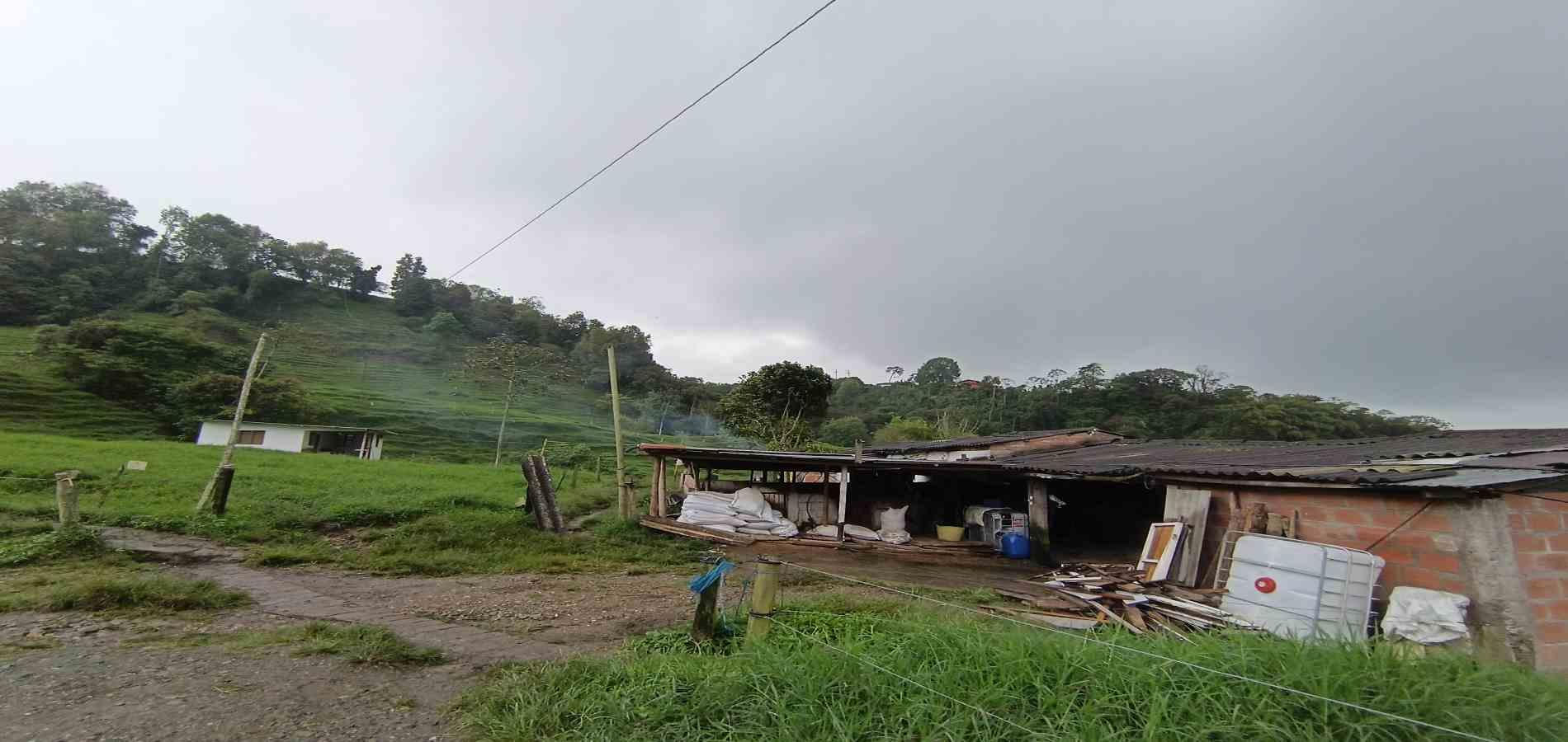 Foto de Finca en Venta en La francia, Manizales - 1 - 279066742