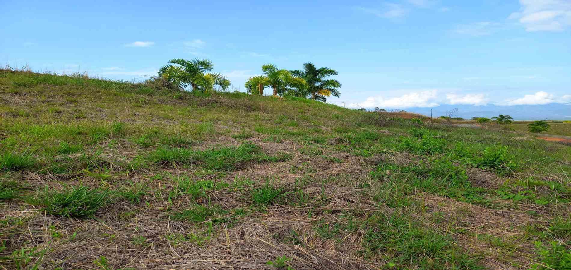 Foto de Lote / terreno en Venta en Cerritos, Pereira - 9 - 279067404