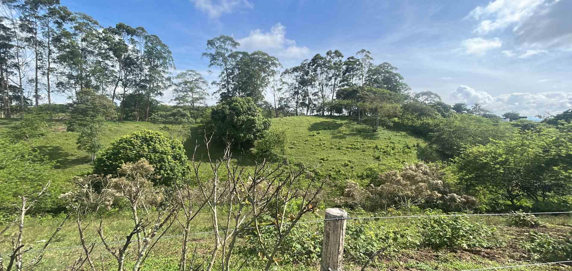 Foto de Lote / terreno en Venta en Via alcala, Pereira - 5 - 279066756